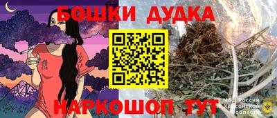 прущие крисы Камышлов
