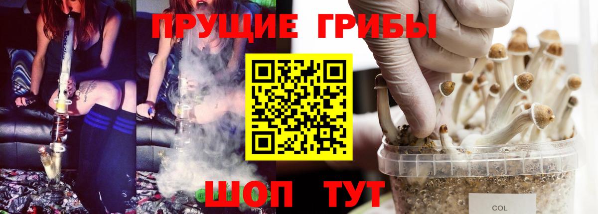 Тында  Псилоцибиновые грибы Psilocybe  Галлюциногенные грибы Magic Shrooms  сколько стоит  Вход с VPN 
